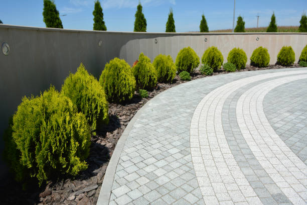 Best Best Driveway Pavers  in Manassas Park, VA